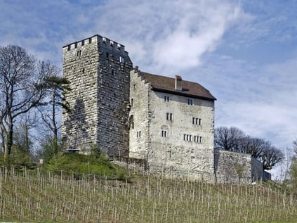 Schloss Habsburg