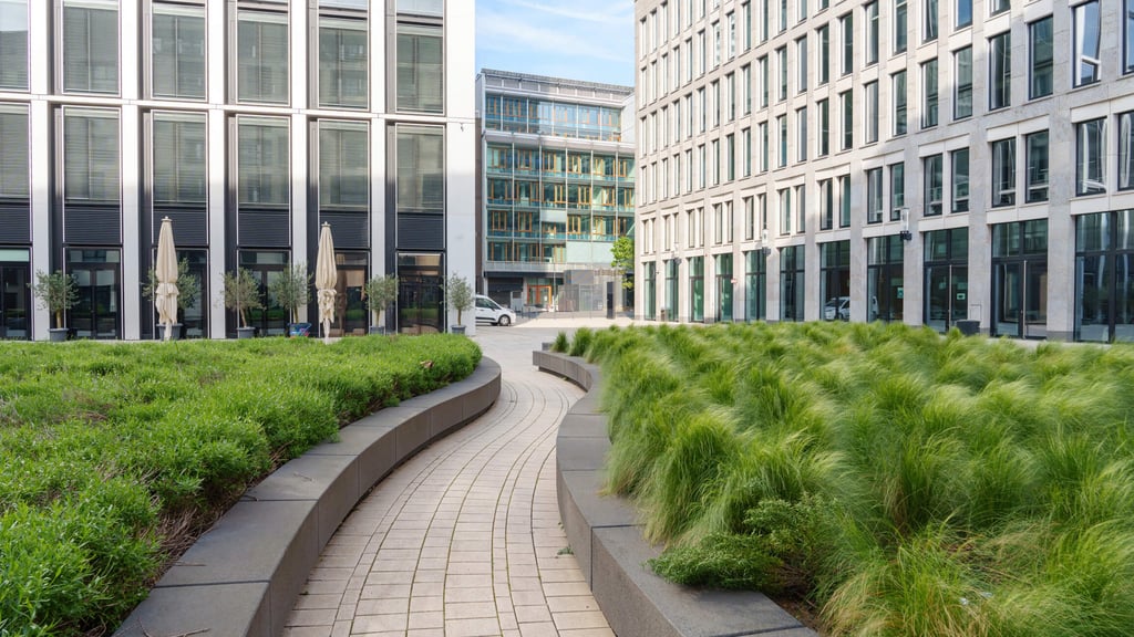 istockphoto-2161857794-1024x1024