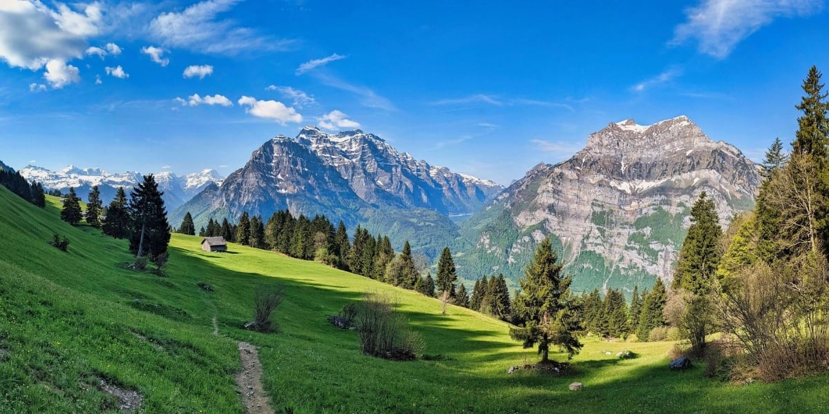 iStock-1405862444