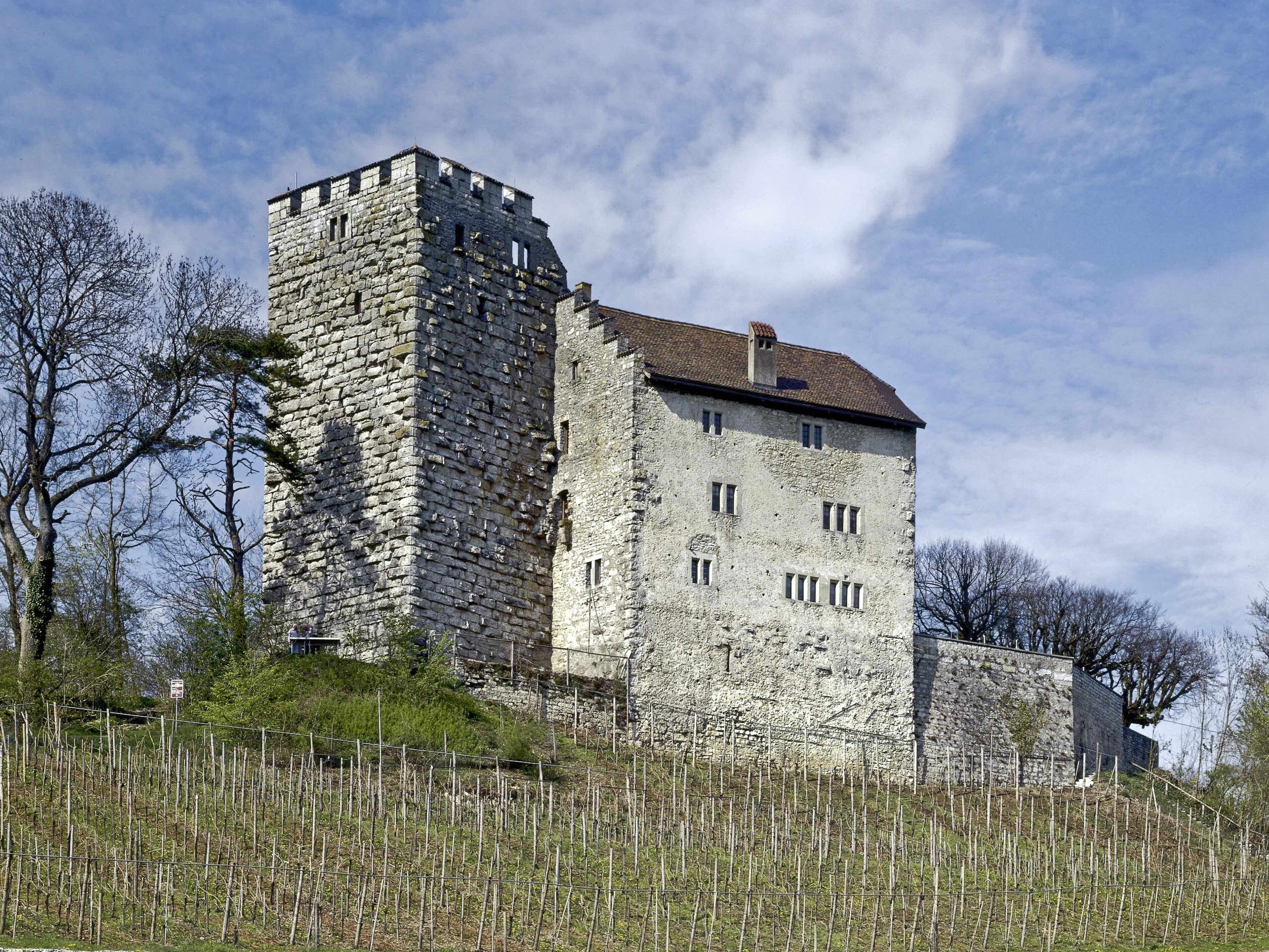 Schloss Habsburg